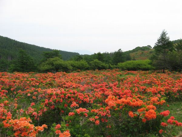 焼山周辺