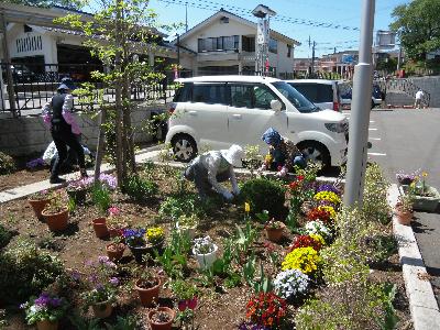 写真：平成25年5月12日　花壇整備作業