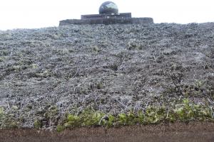 茅葺き屋根の現状
