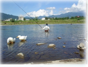 鮎釣り