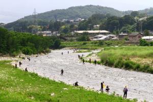 依田川鮎釣り