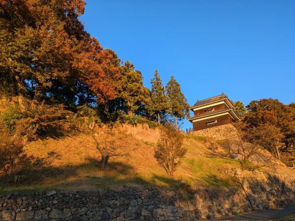 上田城と紅葉