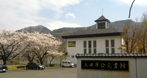 桜1