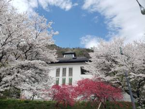 桜・花桃