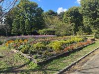憩いの広場の花壇の様子
