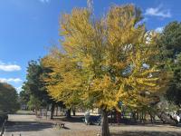 児童遊園地の様子