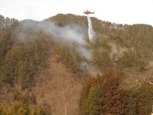 武石林野火災写真 1