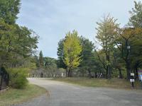 野球場横の様子