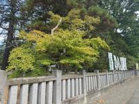 招魂社付近の様子