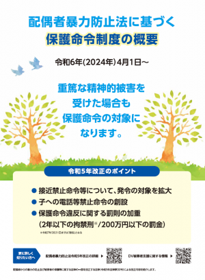 DV保護命令制度パンフレット画像