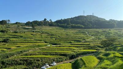 稲倉の棚田_風景
