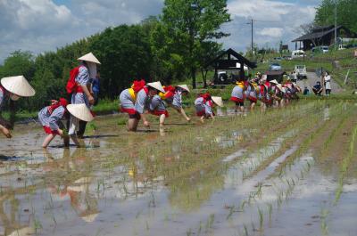 稲倉の棚田_田植え