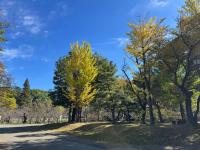 野球場横の様子