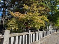 招魂社付近の様子