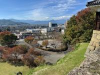 多目的広場周辺の様子