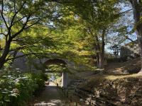 けやき並木の様子