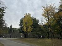 野球場横の様子