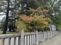 招魂社付近の様子