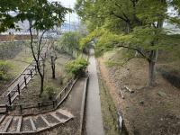 けやき並木の様子