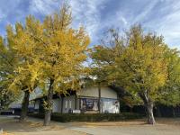 博物館付近の様子