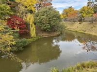 本丸土塁隅欠付近の様子