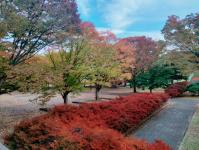 shinanokokubunjishiryokan