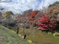 本丸堀～櫓門の様子