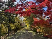 博物館裏の様子