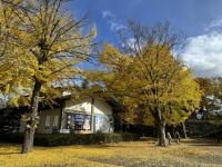 博物館付近の様子