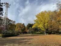 愛の鐘周辺の様子