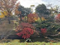 お堀北側の様子