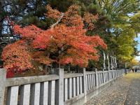 招魂社付近の様子