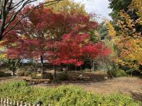 憩いの広場付近の様子