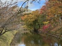 お堀西側の様子