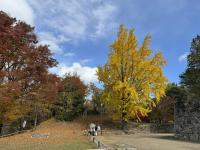 本丸西虎口の様子