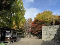 本丸東虎口の様子