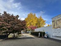 二の丸（東虎口側から）の様子