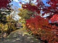 博物館裏の様子