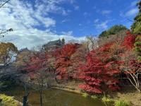 本丸堀～櫓門の様子