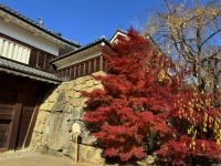 真田石付近の様子