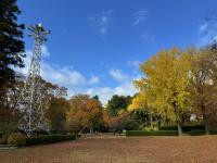 愛の鐘周辺の様子