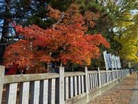 招魂社付近の様子