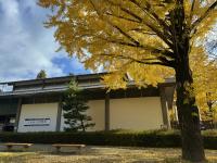 博物館付近の様子