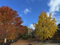 本丸西虎口の様子