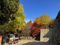 本丸東虎口の様子