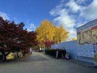 二の丸（東虎口側から）の様子