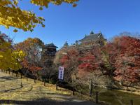 本丸堀～櫓門の様子