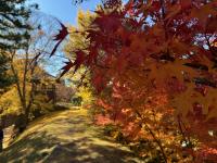 博物館裏の様子