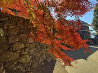 本丸東虎口の様子