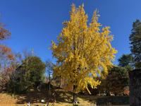 本丸西虎口の様子